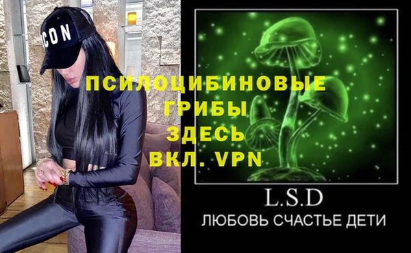 твердый Козельск
