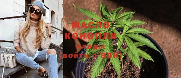 твердый Козельск