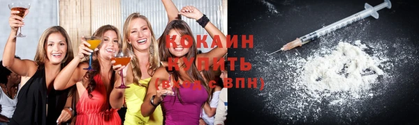 твердый Козельск