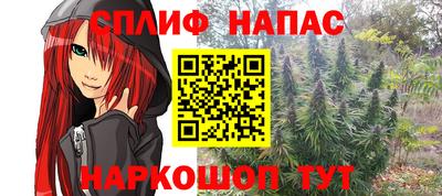 дмт Гатчина