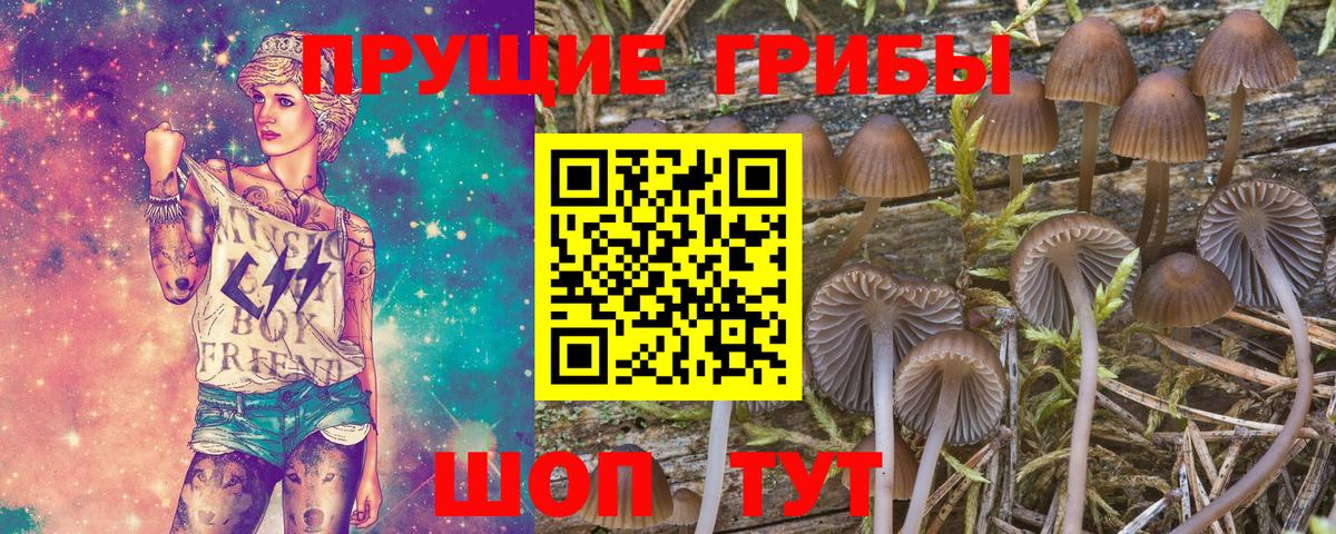 Псилоцибиновые грибы MAGIC MUSHROOMS Мытищи